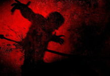 बाल सुधार गृह से भागे नाबालिगों ने की व्यापारी की हत्या:जयपुर से भागने के बाद गैंगस्टर रोहित गोदारा ने रोहतक में मर्डर का दिया था Task